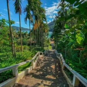 Praia da Santa Rita e Enseada - Ubatuba | Bate e Volta